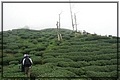2011-12-18 14-34-12往二尖山途中.JPG